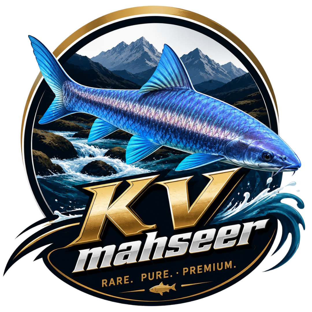 KV Mahseer — Rare, Pure, Premium